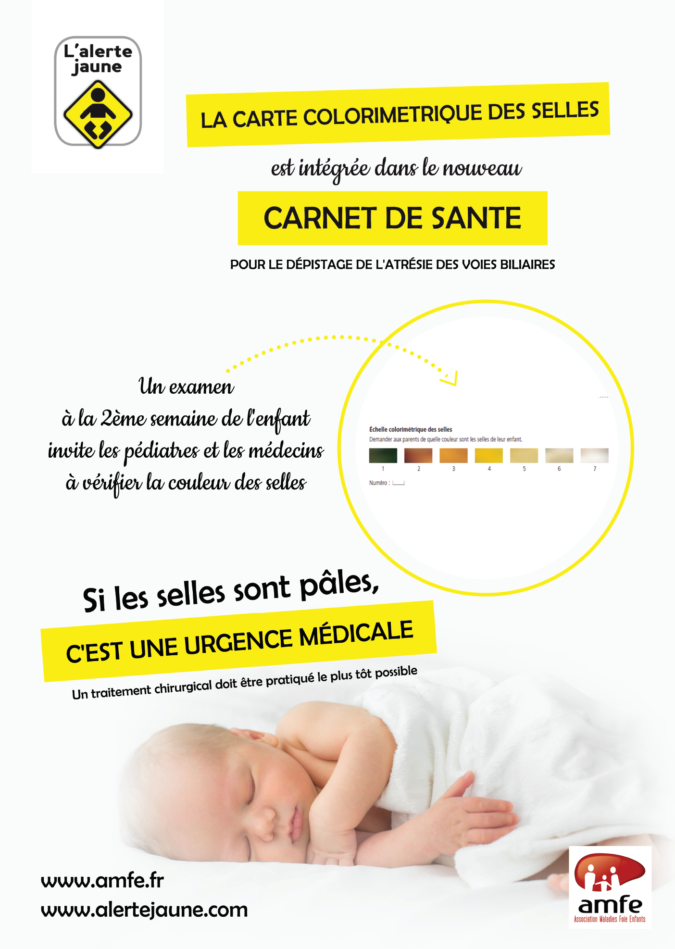 affiche alerte jaune dans carnet de sante (002) (2)