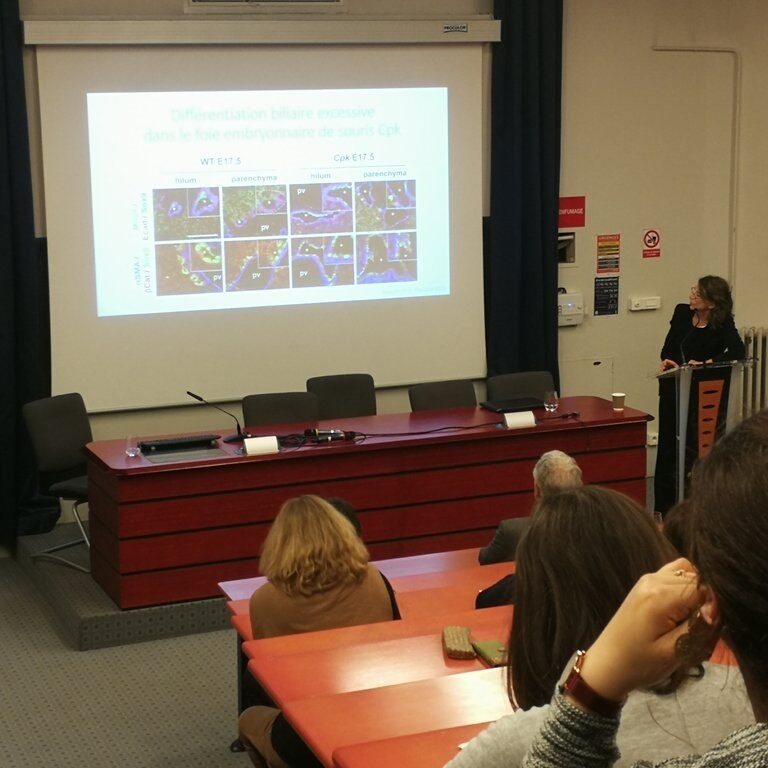 5e Journée Filfoie, journée d'information sur les maladies rares du foie à destination des professionnels de santé - Ciliopathies