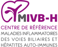 Logo MIVB-H ok