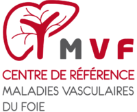 Logo MVF ok