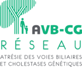 AVB-CG Réseau