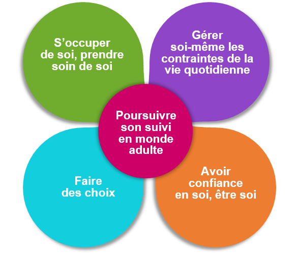 5 dimensions transition mr 2