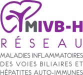 MIVBH Réseau