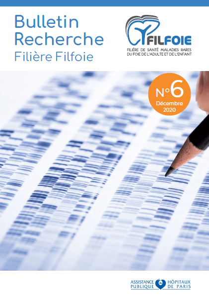 bulletin recherche n6