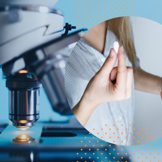 Copie de The Maine Lobster Festival(1)